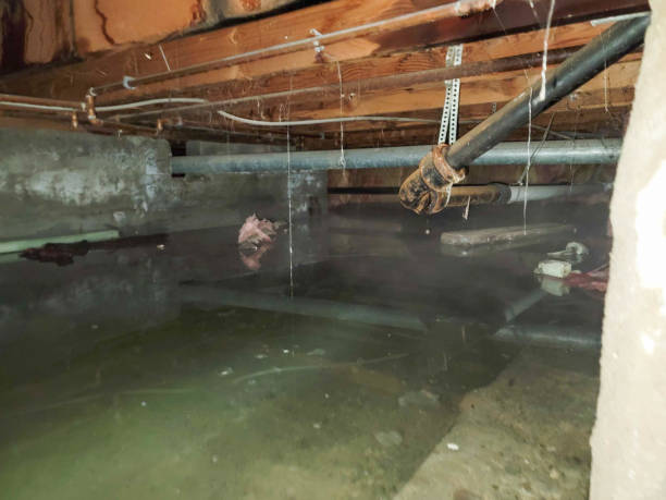 Best Fire Damage Restoration  in Berwyn, IL