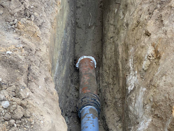 Best Flood damage cleanup  in Berwyn, IL