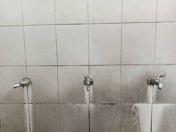 Best Water damage restoration near me  in Berwyn, IL